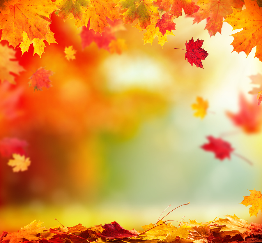 Get Your Home Ready for Fall | NC State Extension